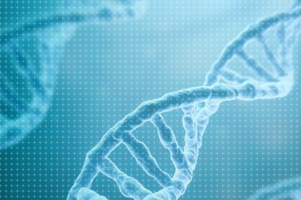 gene editing case study