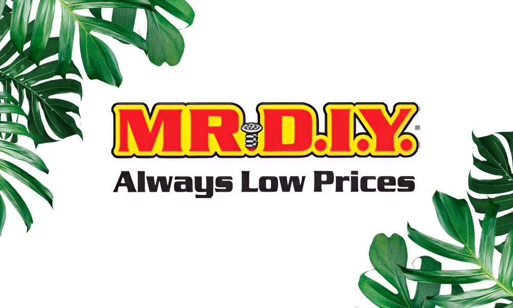 MR. D.I.Y