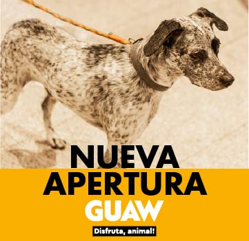 NUEVA APERTURA · GUAW, DISFRUTA ANIMAL