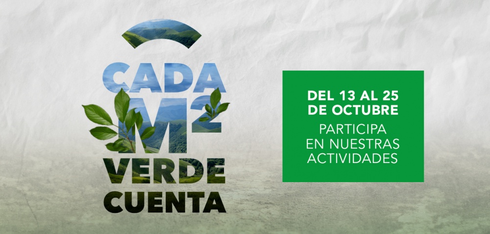 Salera impulsa un proyecto de reforestación en Castellón