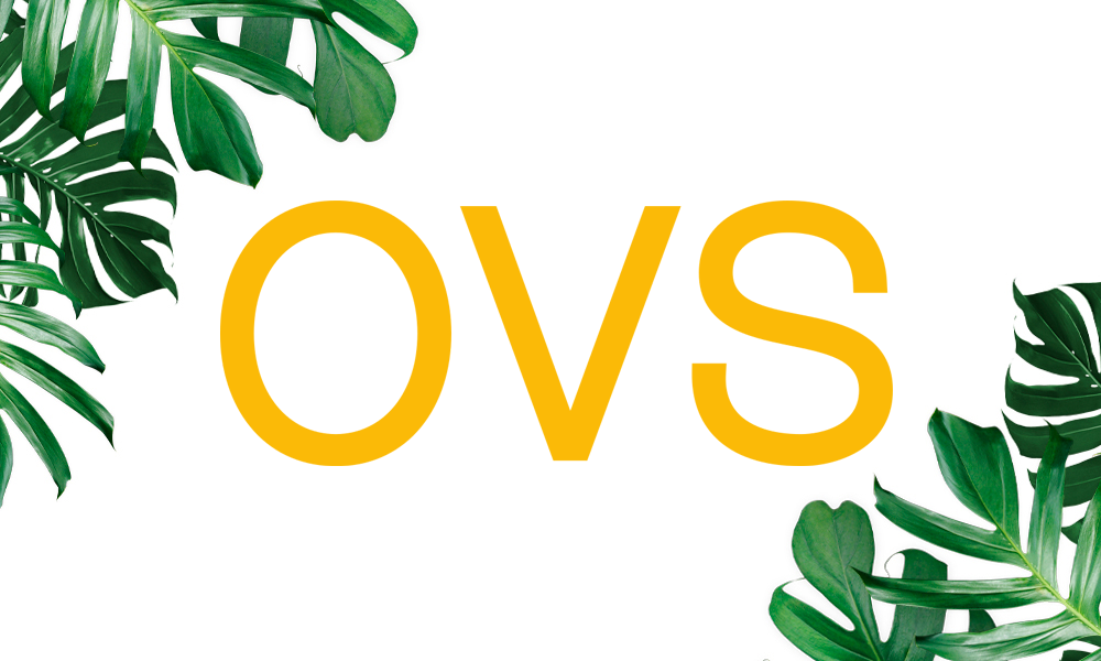 OVS