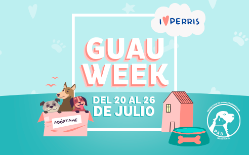 Compartir tiene premio en Miramar: ¡celebramos la GUAU WEEK por el Día del Perro!