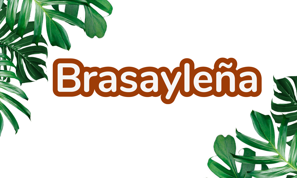 Brasayleña