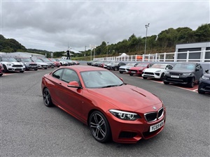 Large image for the Used BMW 2 SERIES