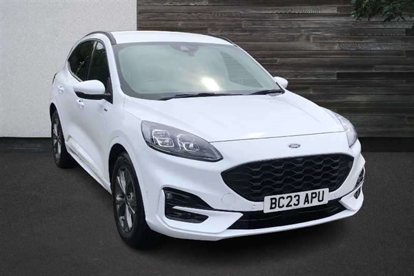 Large image for the Used Ford Kuga