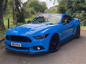 Large image for the Used Ford MUSTANG