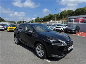 Large image for the Used Lexus NX