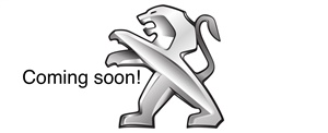 Large image for the Used Peugeot Partner