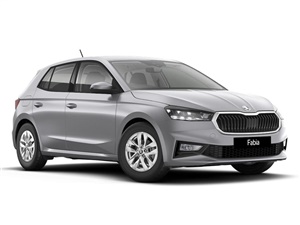 Large image for the Used Skoda Fabia