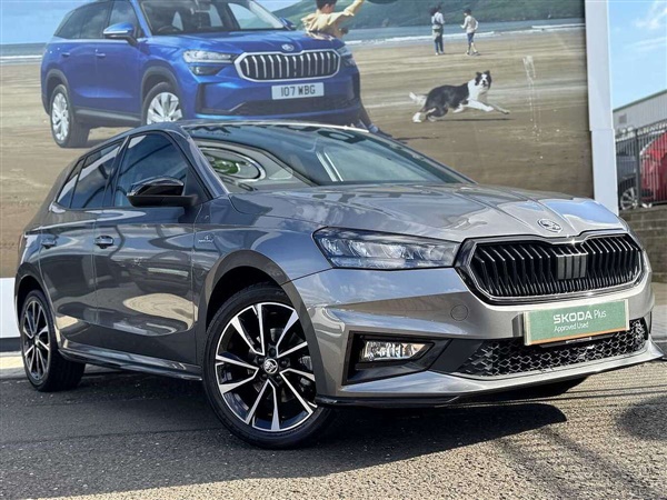 Large image for the Used Skoda Fabia