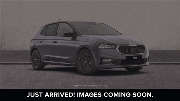 Large image for the Used Skoda Fabia