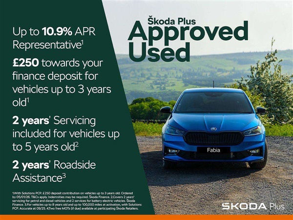 Large image for the Used Skoda Kodiaq