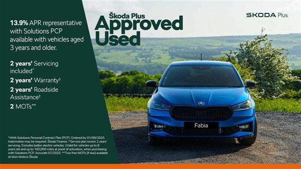 Large image for the Used Skoda Kodiaq