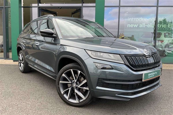Large image for the Used Skoda Kodiaq