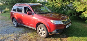 Large image for the Used Subaru Forester