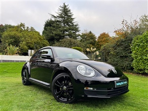 Large image for the Used Volkswagen BEETLE