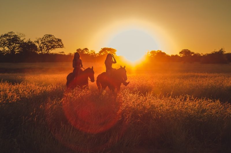 Riding horses in the sunset - Photo by willsantt
