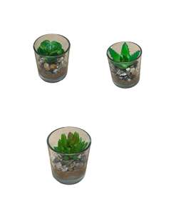 Grön växt i glasform