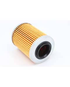 OIL FILTER ELEMENT 0800-011300-0004