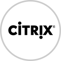 Citrix Review It's a Knockout