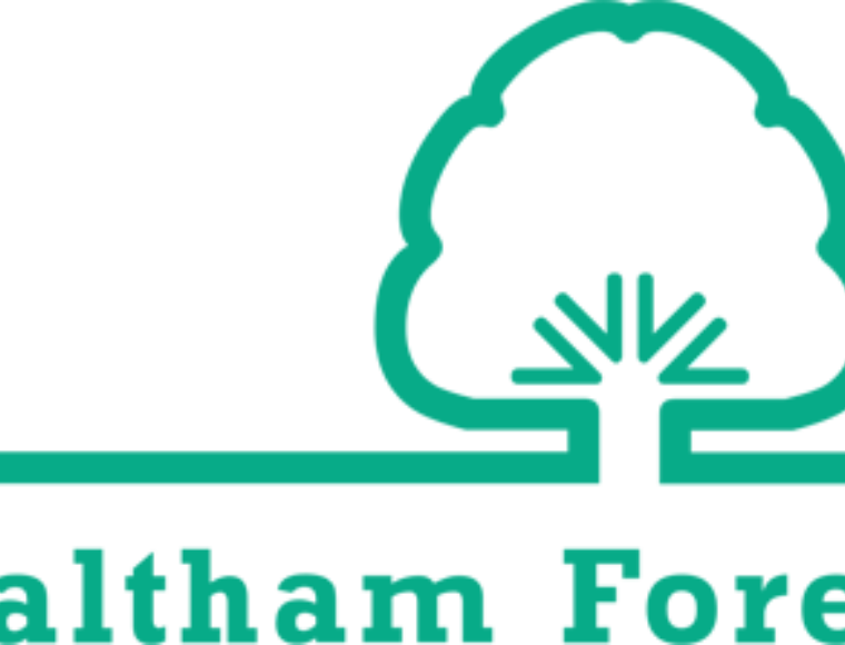 Lb Waltham Forest Logo