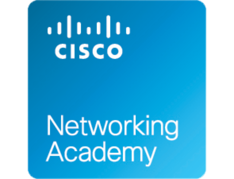 Png Web Logo Net Acad Partner Logo