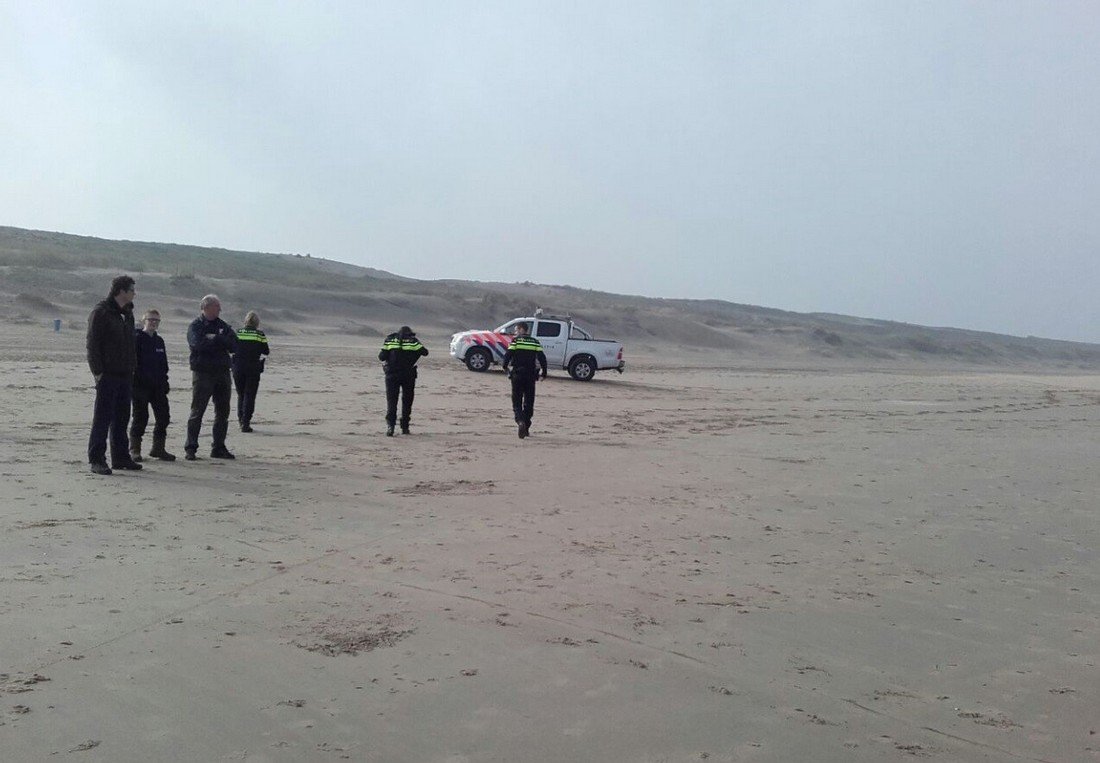 Zeehond op het strand tussen Katwijk en Wassenaar