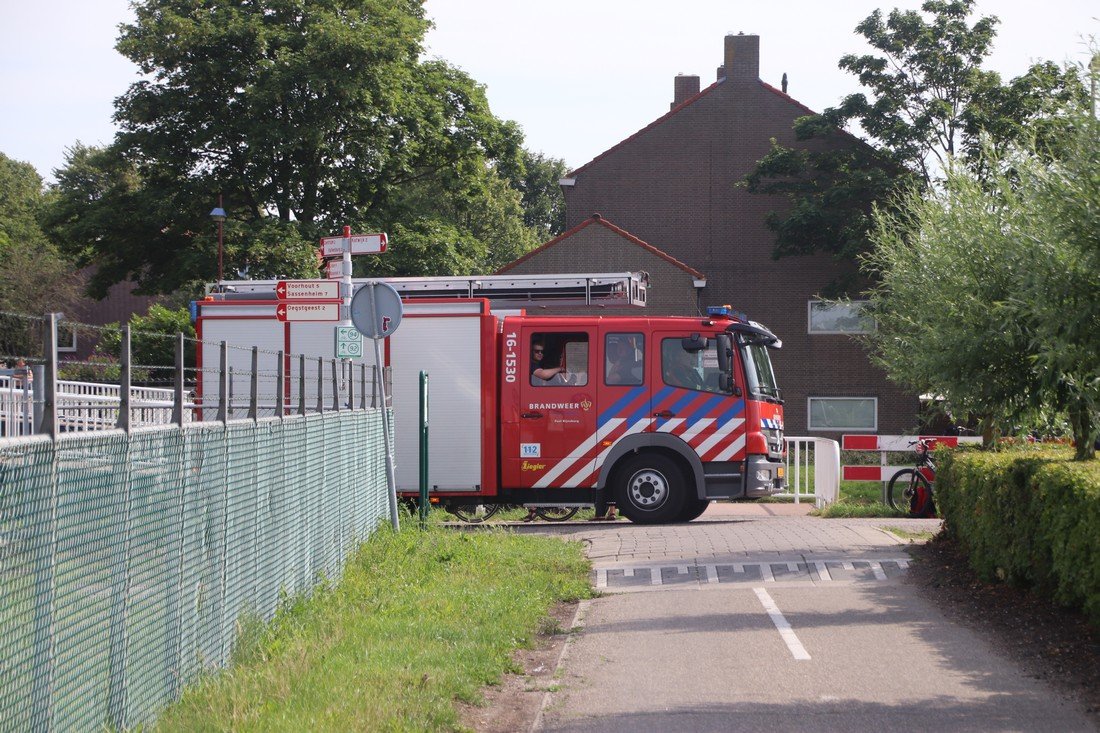 Koe te water Kanaalpad NW Rijnsburg