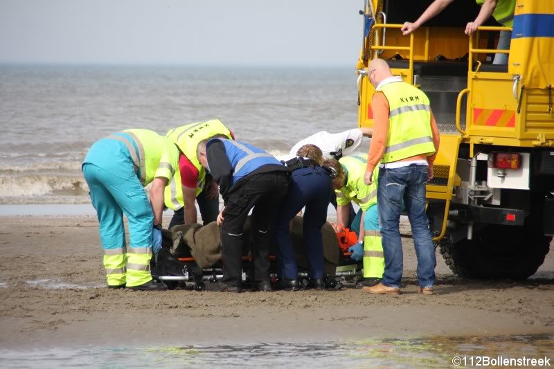 Vrouw valt van Paard Langevelderslag Noordwijk