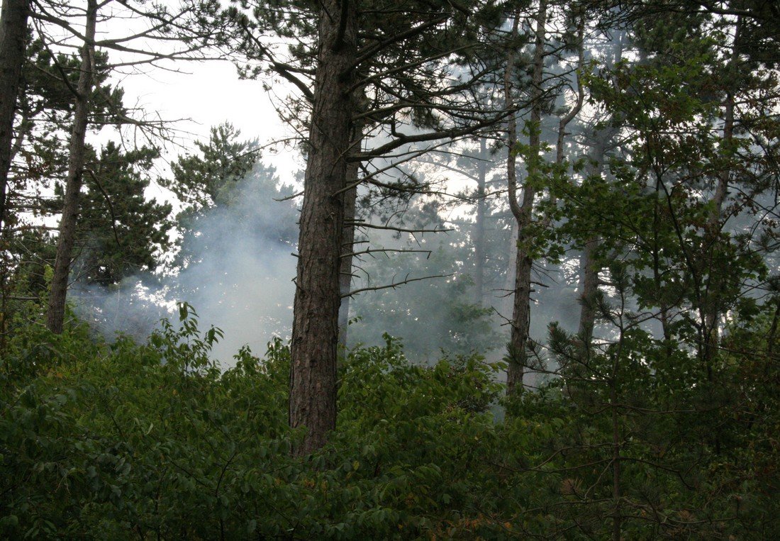 Duinbrand Noordwijk