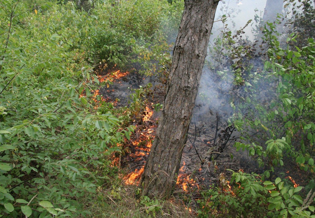 Duinbrand Noordwijk