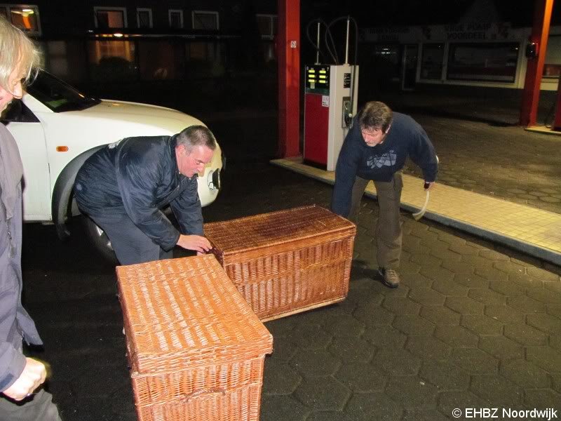 1e zeehond van het jaar gevonden Scheveningen