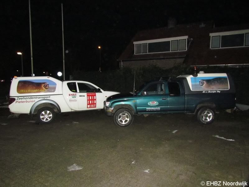 1e zeehond van het jaar gevonden Scheveningen