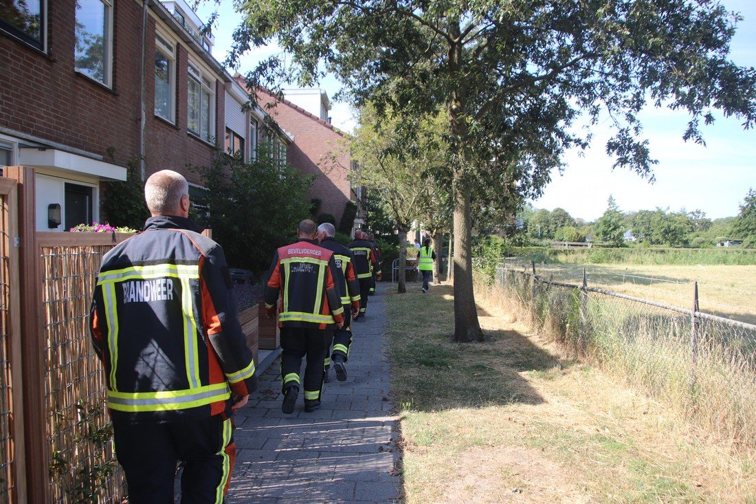 Kat in boom Duinzicht Noordwijk