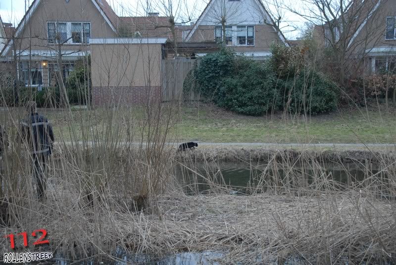 Dier in nood Dauwbraam Katwijk