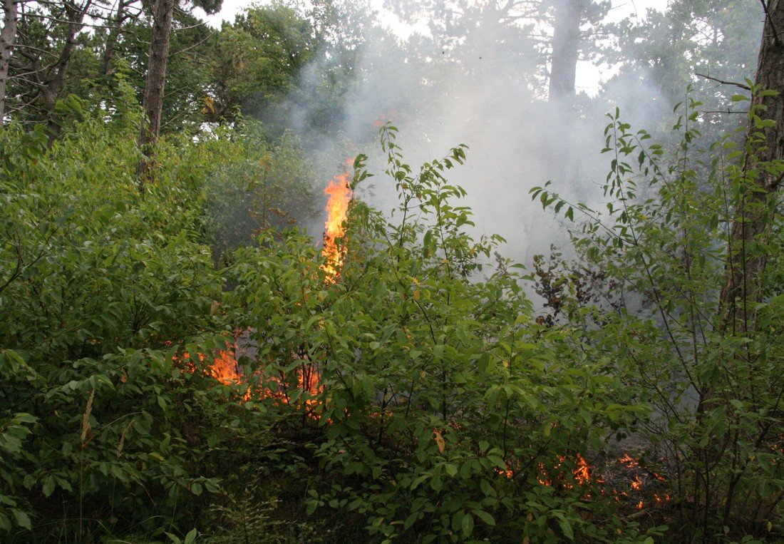 Duinbrand Noordwijk