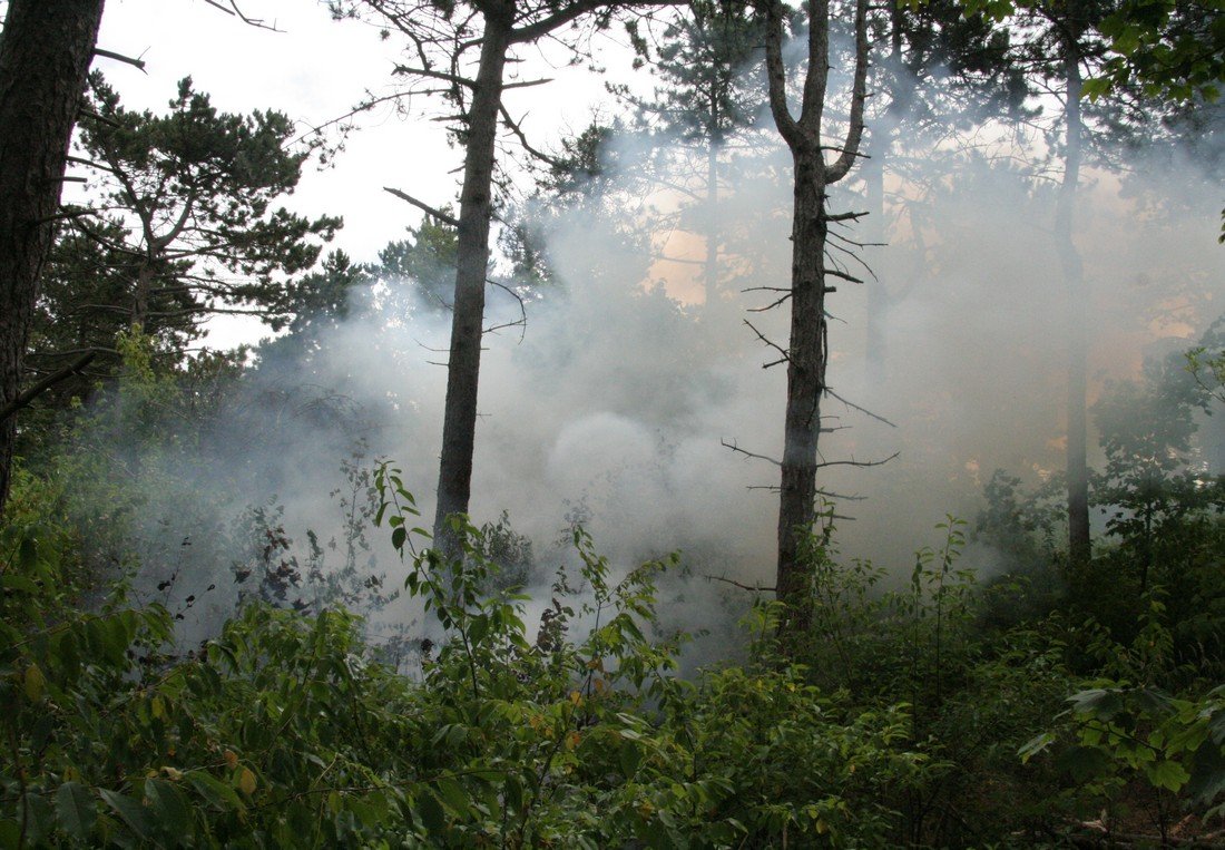 Duinbrand Noordwijk