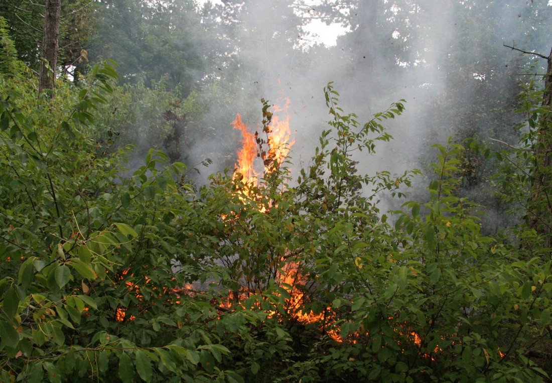 Duinbrand Noordwijk