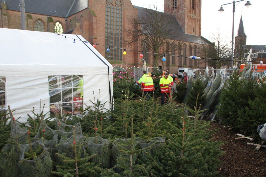 Kerstbomen verkoop gestart Jeroensplein voor goede doel