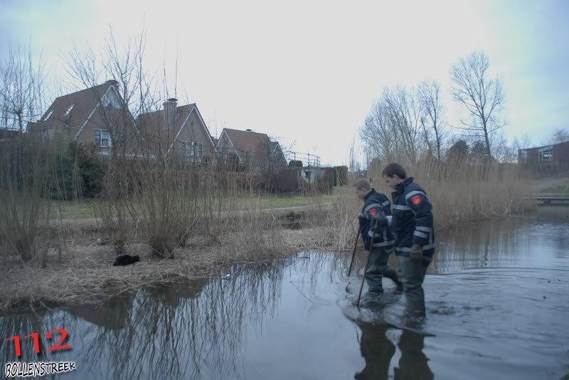 Dier in nood Dauwbraam Katwijk