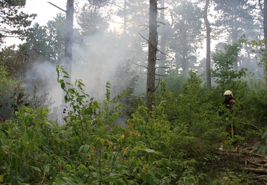 Duinbrand Noordwijk