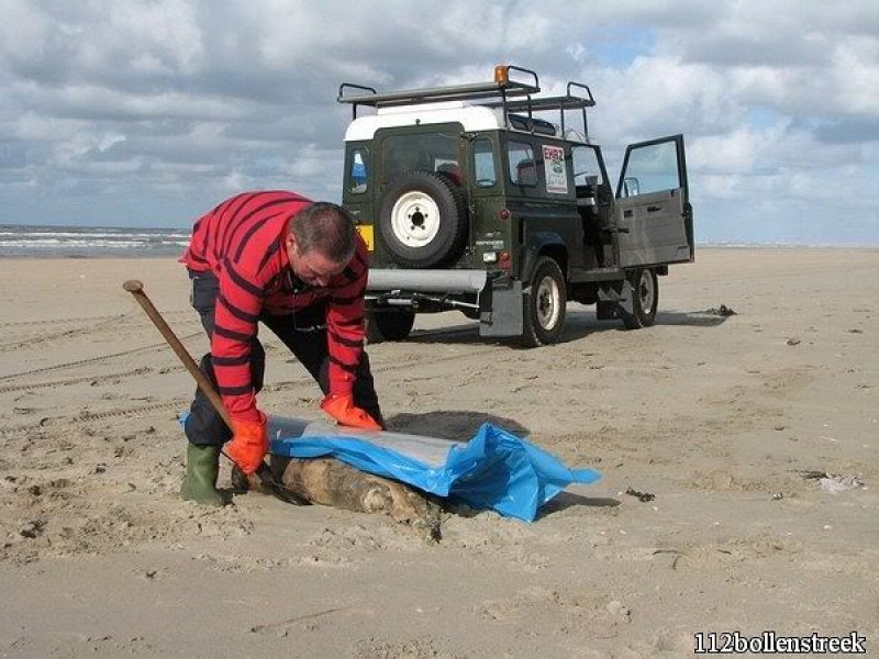 Dode bruinvis Noordwijk