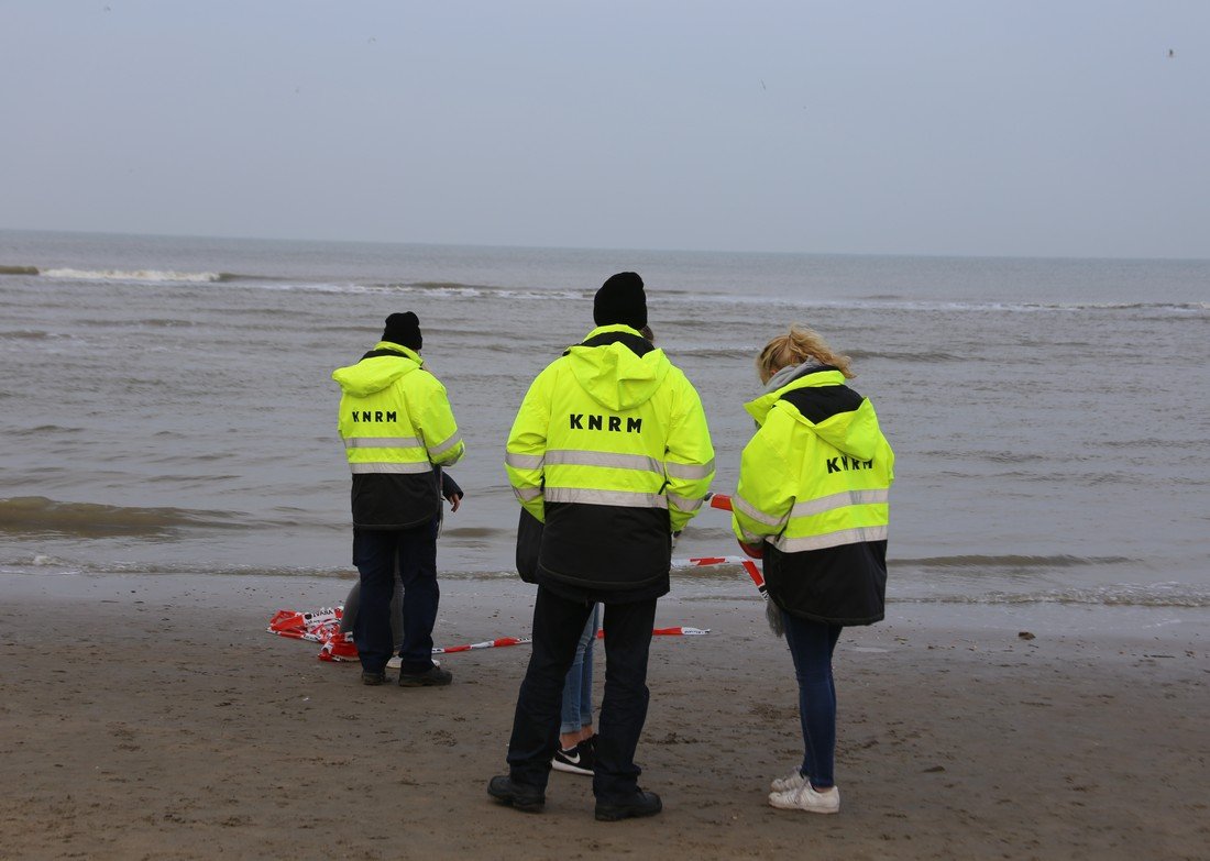 Intocht sinterklaas en zwarte pieten