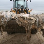 Restanten Bultrug Katwijk