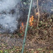 Hegbrand Westeinde Noordwijk