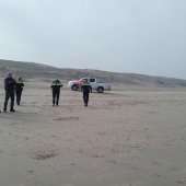 Zeehond op het strand tussen Katwijk en Wassenaar