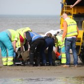 Vrouw valt van Paard Langevelderslag Noordwijk