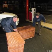 1e zeehond van het jaar gevonden Scheveningen