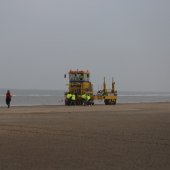 Intocht sinterklaas en zwarte pieten