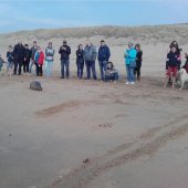 Zeehond Duindamseslag Noordwijk